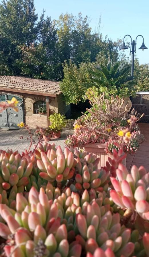 La Casa Sull'Aia,Av Bed & Breakfast Santo Stefano del Sole Екстериор снимка