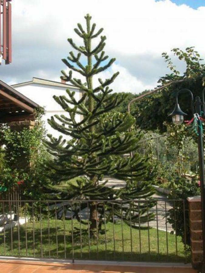La Casa Sull'Aia,Av Bed & Breakfast Santo Stefano del Sole Екстериор снимка